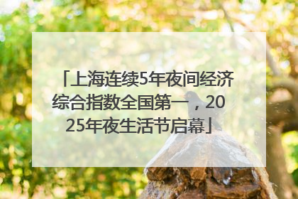 上海连续5年夜间经济综合指数全国第一，2025年夜生活节启幕