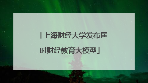 上海财经大学发布匡时财经教育大模型