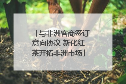 与非洲客商签订意向协议 新化红茶开拓非洲市场