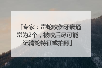 专家：毒蛇咬伤牙痕通常为2个，被咬后尽可能记清蛇特征或拍照
