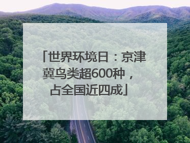世界环境日：京津冀鸟类超600种，占全国近四成