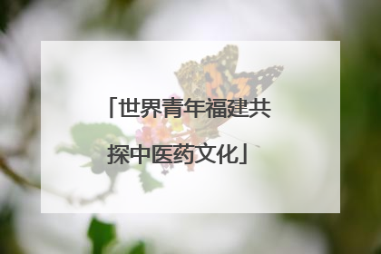 世界青年福建共探中医药文化