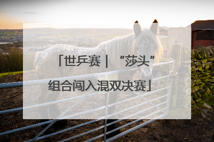 世乒赛｜“莎头”组合闯入混双决赛