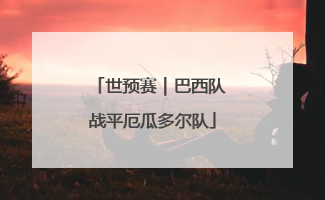 世预赛｜巴西队战平厄瓜多尔队
