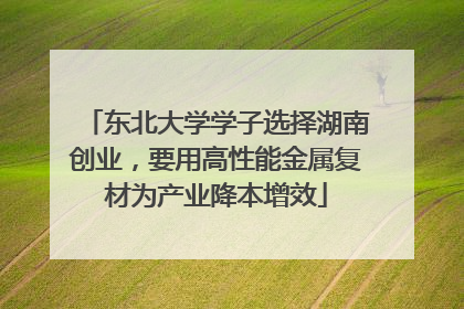东北大学学子选择湖南创业，要用高性能金属复材为产业降本增效