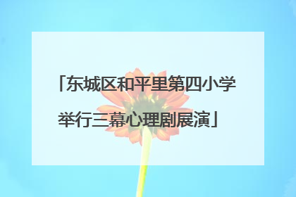 东城区和平里第四小学举行三幕心理剧展演