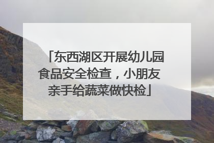 东西湖区开展幼儿园食品安全检查，小朋友亲手给蔬菜做快检