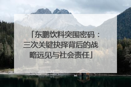 东鹏饮料突围密码：三次关键抉择背后的战略远见与社会责任