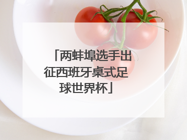 两蚌埠选手出征西班牙桌式足球世界杯