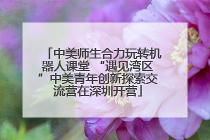 中美师生合力玩转机器人课堂 “遇见湾区”中美青年创新探索交流营在深圳开营