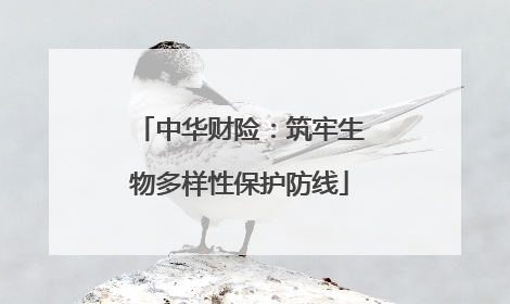 中华财险：筑牢生物多样性保护防线