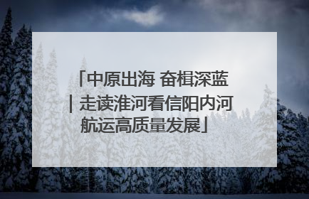 中原出海 奋楫深蓝｜走读淮河看信阳内河航运高质量发展