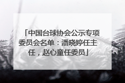 中国台球协会公示专项委员会名单：潘晓婷任主任，赵心童任委员