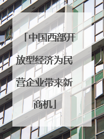 中国西部开放型经济为民营企业带来新商机