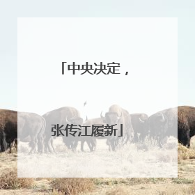 中央决定，张传江履新