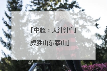 中超：天津津门虎胜山东泰山