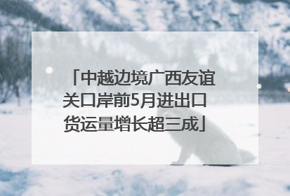 中越边境广西友谊关口岸前5月进出口货运量增长超三成