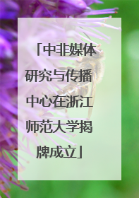 中非媒体研究与传播中心在浙江师范大学揭牌成立