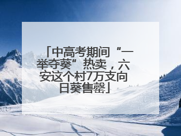 中高考期间“一举夺葵”热卖，六安这个村7万支向日葵售罄