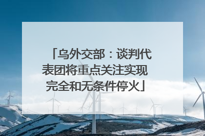 乌外交部：谈判代表团将重点关注实现完全和无条件停火