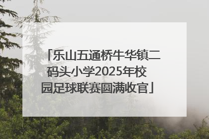 乐山五通桥牛华镇二码头小学2025年校园足球联赛圆满收官