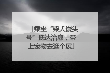 乘坐“柴犬馒头号”抵达治愈，带上宠物去逛个展