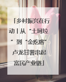 乡村振兴在行动丨从“土坷垃”到“金疙瘩” 卢龙甘薯串起富民产业链