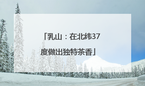 乳山：在北纬37度做出独特茶香