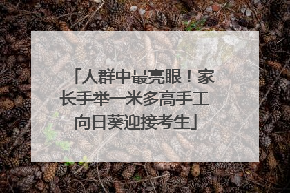 人群中最亮眼！家长手举一米多高手工向日葵迎接考生