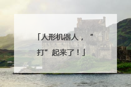人形机器人，“打”起来了！
