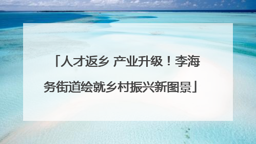 人才返乡 产业升级！李海务街道绘就乡村振兴新图景