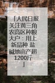 人民日报关注黄三角农高区种粮大户：用上新品种 盐碱地亩产超1200斤
