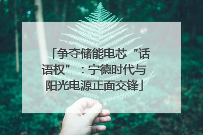 争夺储能电芯“话语权”：宁德时代与阳光电源正面交锋