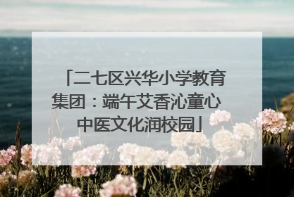 二七区兴华小学教育集团：端午艾香沁童心 中医文化润校园