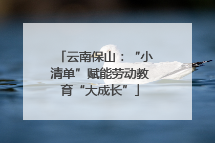 云南保山：“小清单”赋能劳动教育“大成长”
