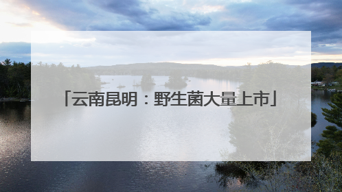 云南昆明：野生菌大量上市