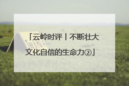 云岭时评丨不断壮大文化自信的生命力②