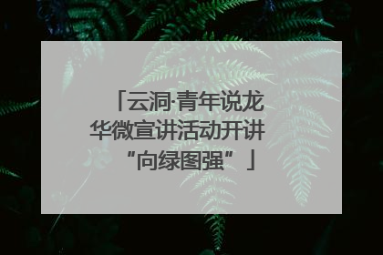 云洞·青年说龙华微宣讲活动开讲“向绿图强”