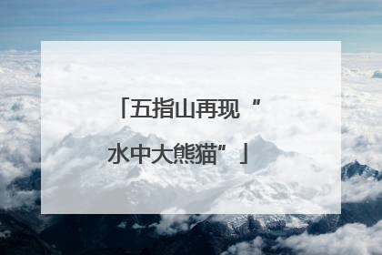 五指山再现“水中大熊猫”