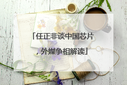 任正非谈中国芯片，外媒争相解读