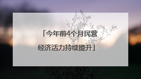 今年前4个月民营经济活力持续提升