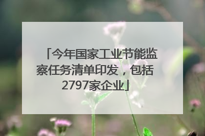 今年国家工业节能监察任务清单印发，包括2797家企业