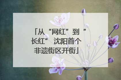 从“网红”到“长红” 沈阳首个非遗街区开街