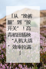 从“挽裤腿”到“按开关”！高青稻田插秧“人机大战”效率拉满