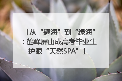 从“题海”到“绿海”：鹤峰屏山成高考毕业生护眼“天然SPA”