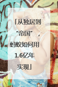 从独居到“帝国”，蚂蚁如何用1.6亿年实现