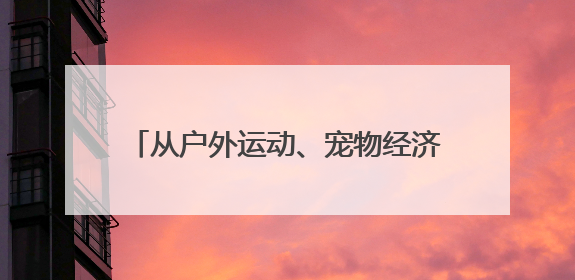 从户外运动、宠物经济到酒类贸易，日企挖掘中国“悦己消费”新机遇