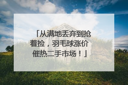 从满地丢弃到抢着捡，羽毛球涨价催热二手市场！