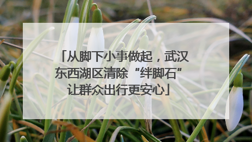 从脚下小事做起，武汉东西湖区清除“绊脚石”让群众出行更安心