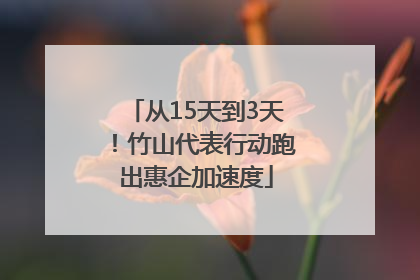 从15天到3天！竹山代表行动跑出惠企加速度